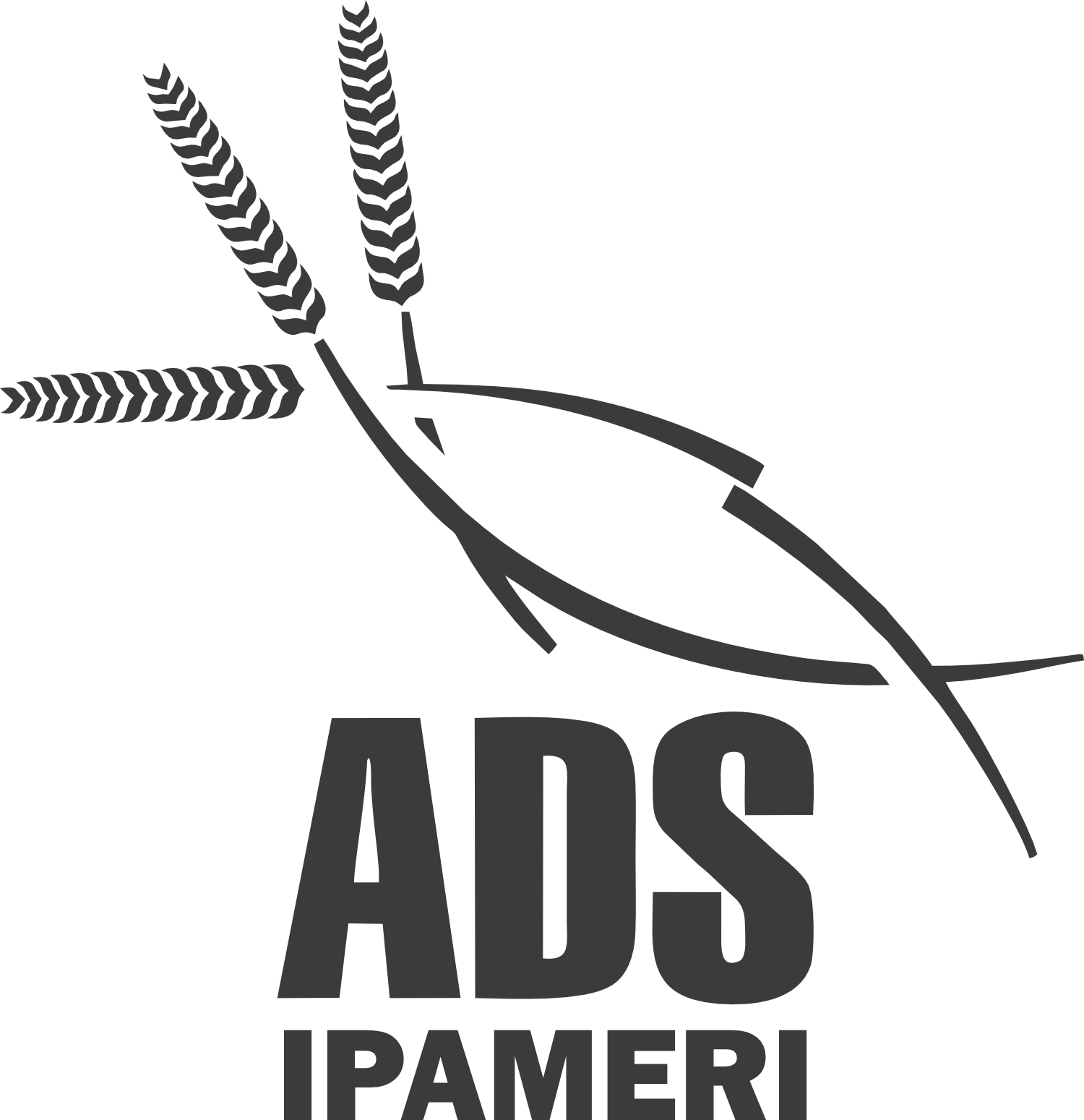 ADS Ipameri Logo